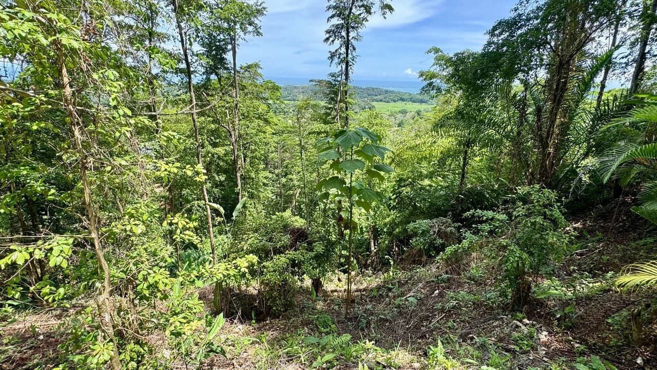 Exclusive and Unique Ocean Views lot in the Hills of Uvita! - photo 6