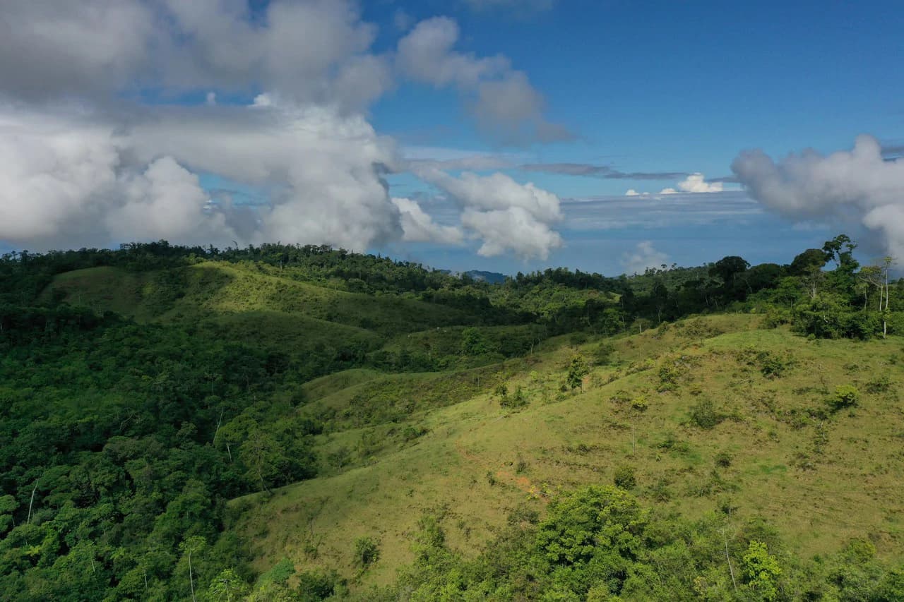 47 Acre Off Grid Ranch with Ocean & Mountain Views San Lorenzo Perez Zeledón - photo 20