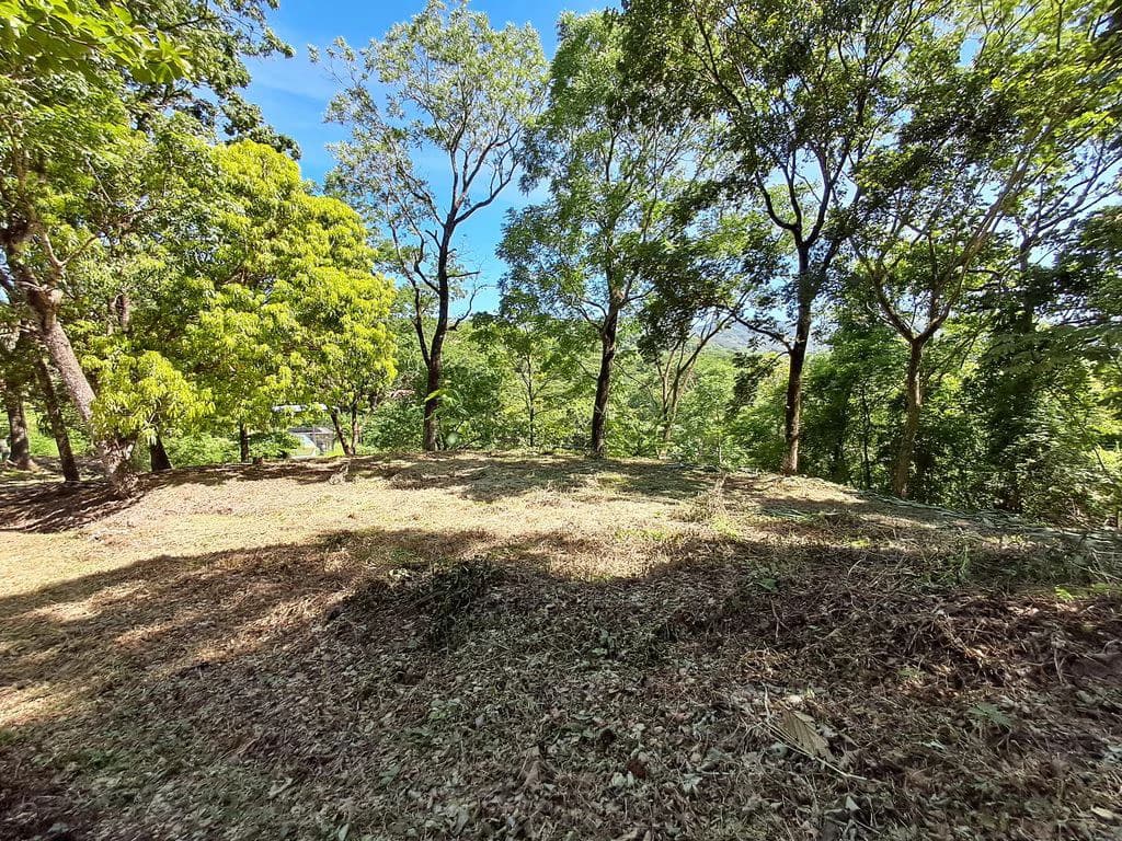 Lote Budry: Exclusive Elevated Lot with Stunning Mountain & Jungle Views Near Samara Beach - photo 3