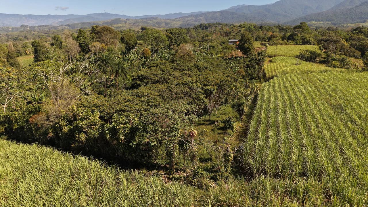 Countryside Home Construction Site For Sale in Santa Elena - photo 3