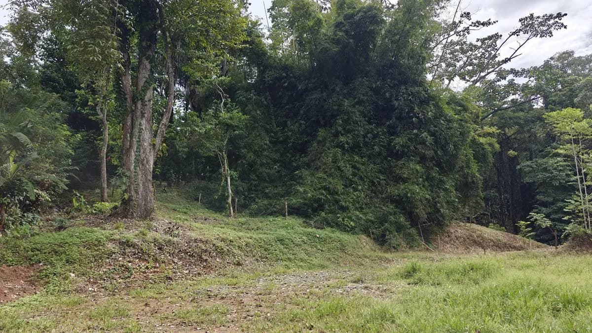 ID 345: 6,763m² Ocean View Development Land for Sale in Puerto Viejo - photo 10