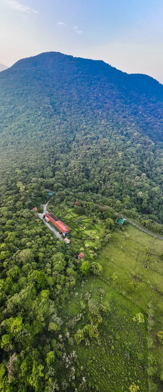 Celeste Mountain Lodge: Mountain Hotel/Resort/Hostel For Sale in Bijagua - photo 7