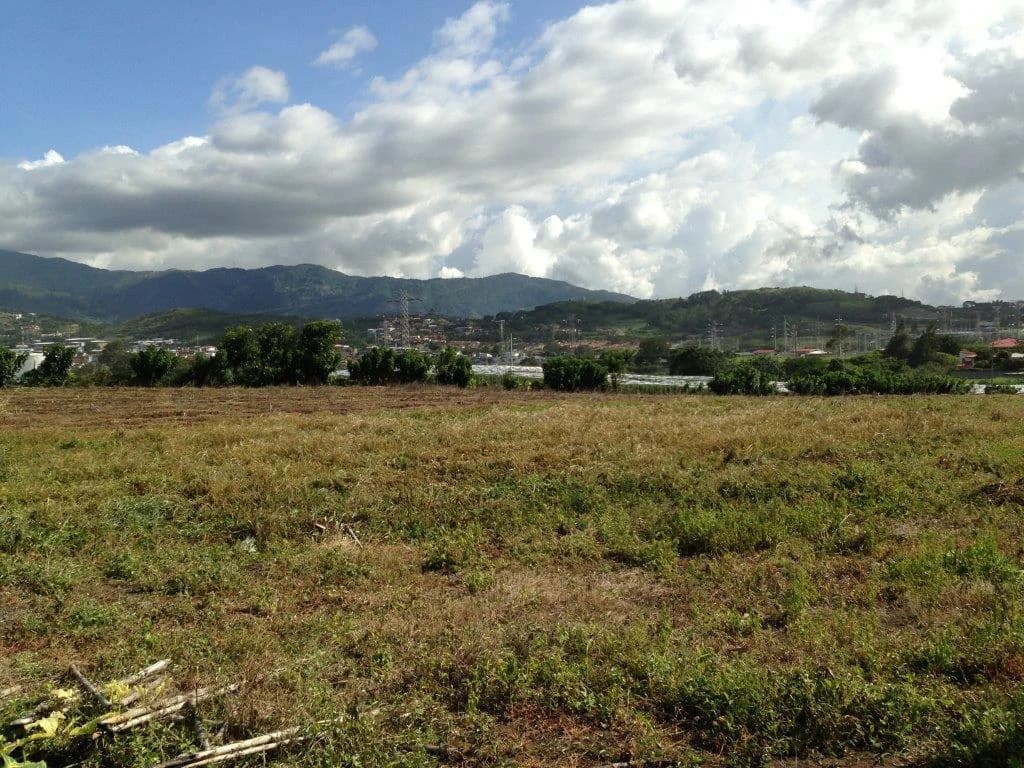Mountain Agricultural Land For Sale in La Asunción - photo 4