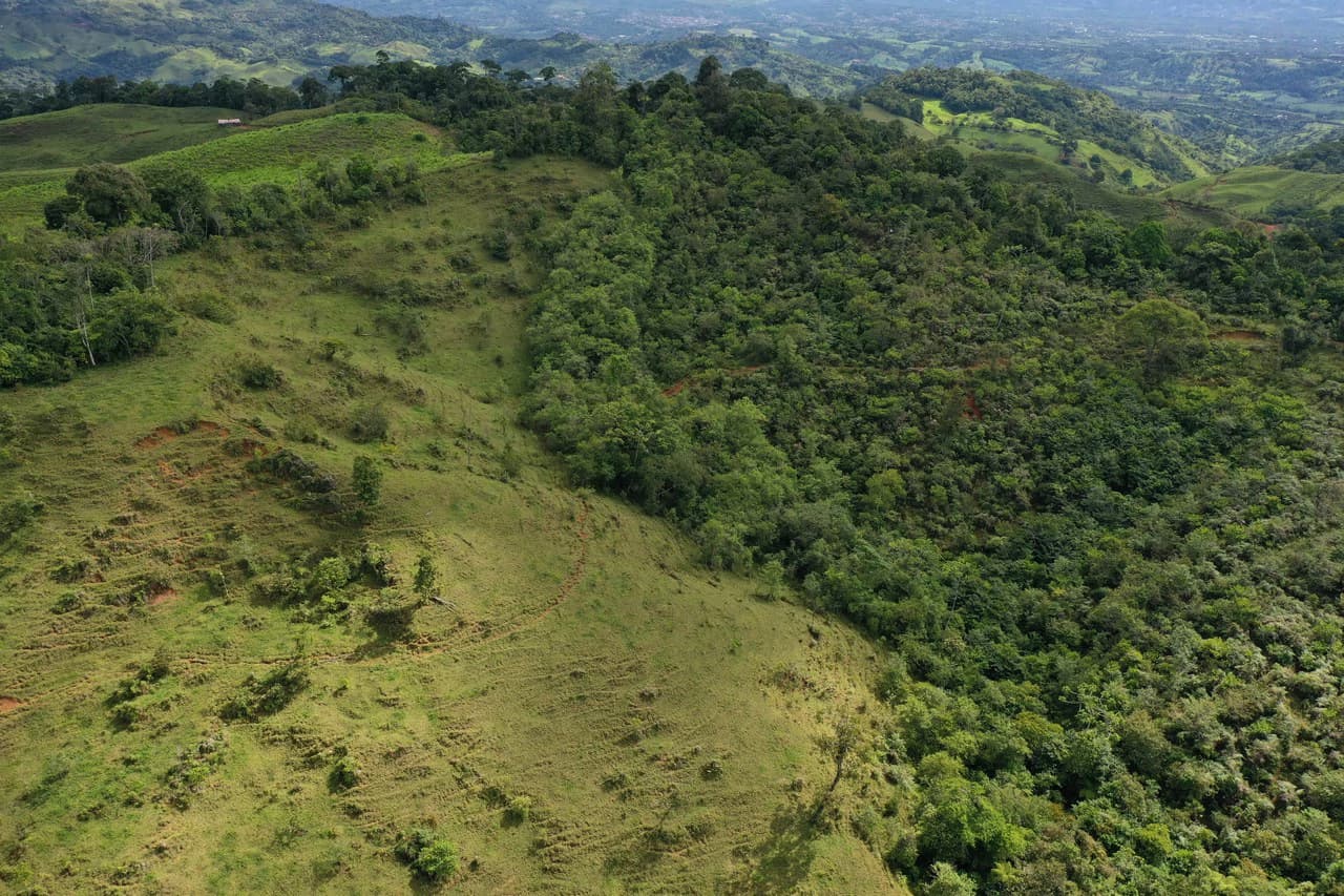 47 Acre Off Grid Ranch with Ocean & Mountain Views San Lorenzo Perez Zeledón - photo 12