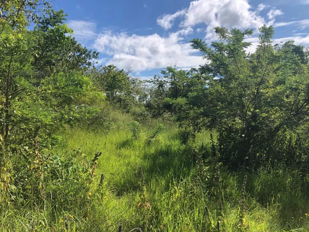 Ocean View Property with Panoramic Views on the Pacific Gold Coast – Guanacaste - photo 15