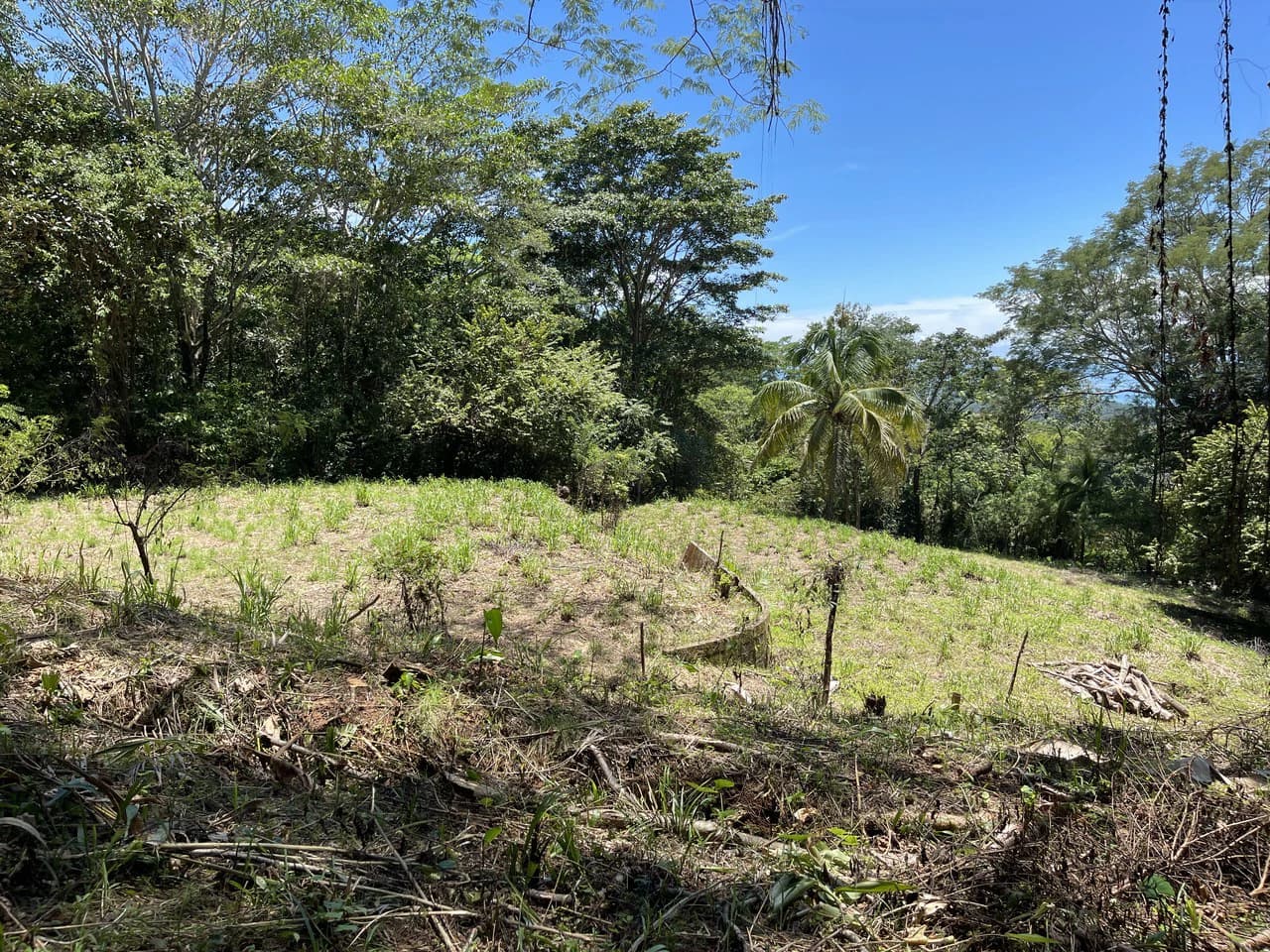 5.4 ACRES – Amazing Ocean View Acreage With Multiple Building Sites And Legal Water!!! - photo 12