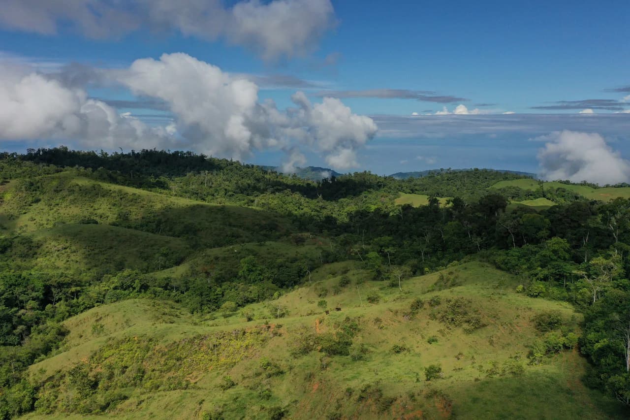 47 Acre Off Grid Ranch with Ocean & Mountain Views San Lorenzo Perez Zeledón - photo 9
