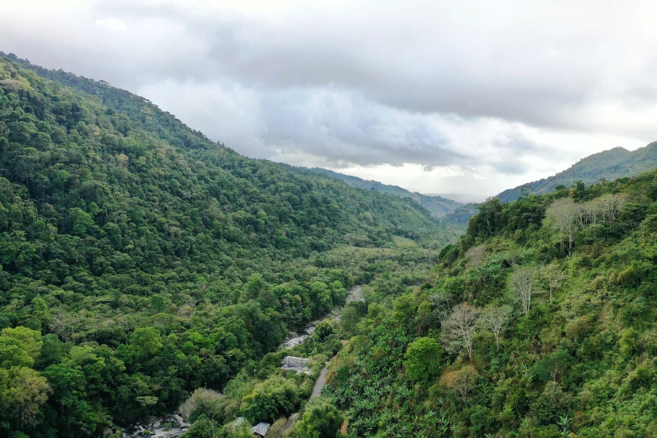 Canaan de Rivas 10 acres Above San Isidro - photo 16