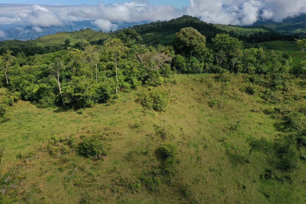 47 Acre Off Grid Ranch with Ocean & Mountain Views San Lorenzo Perez Zeledón - photo 17