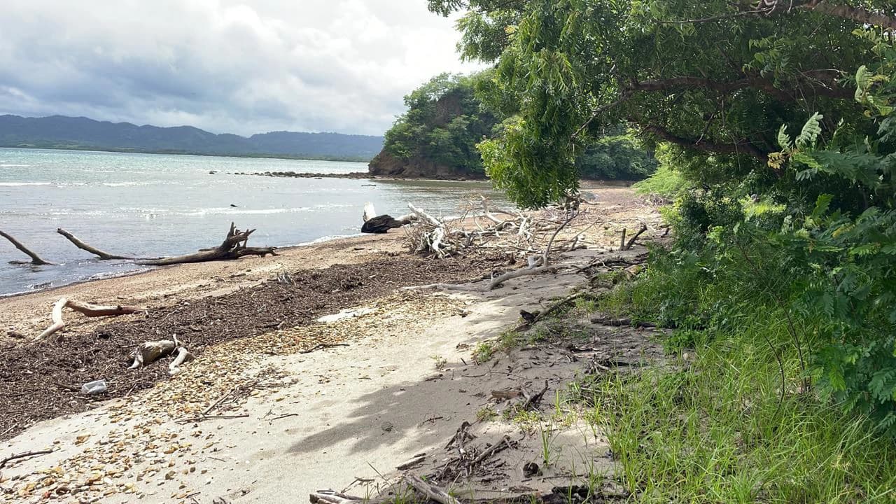 Beachfront Private Titled Property for sale close to La Cruz, beautiful nature land, ready to build - photo 3