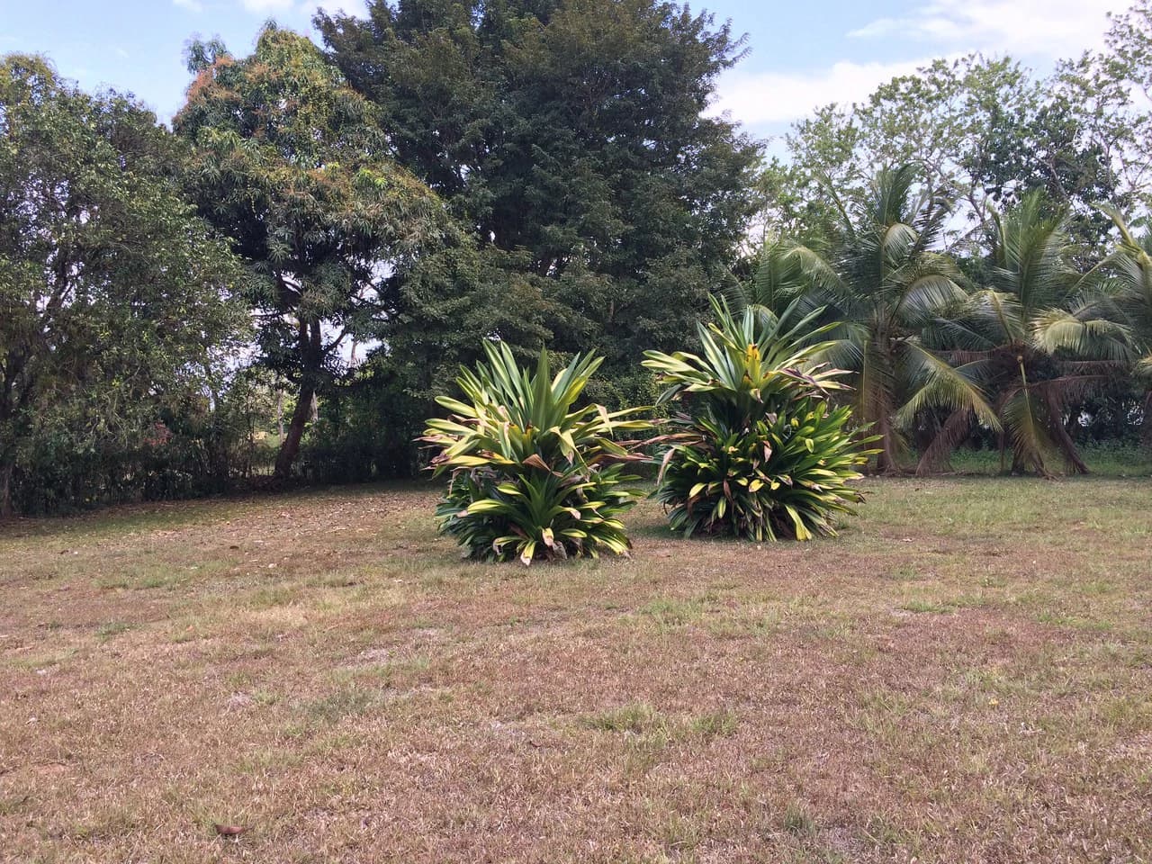 Propiedad grande: Countryside Home Construction Site For Sale in Caño Negro