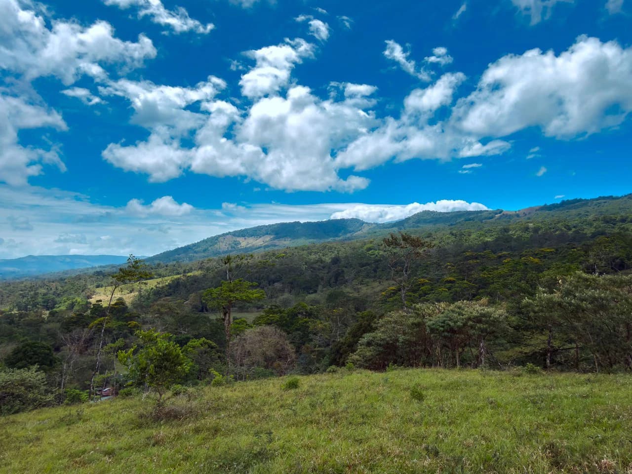 Finca Abuelo: Riverfront, Mountain and Countryside Agricultural Land For Sale in Aguas Claras - photo 6