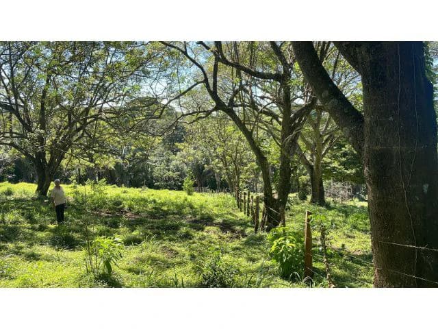 Nature Paradise Farm for sale in the mountains of Quebrada Grande, Building potential property 30 minutes away from Liberia - photo 31