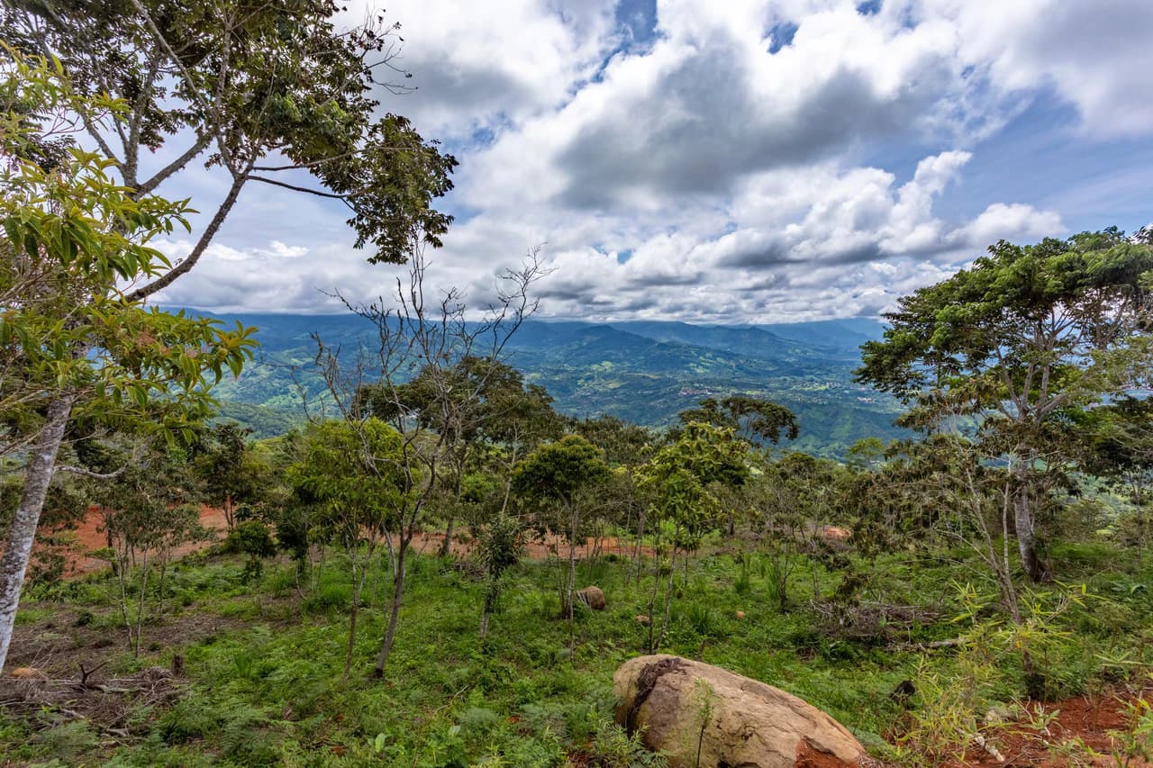 Spectacular Property with Chirripo Mountain and San Isidro City Views - photo 6