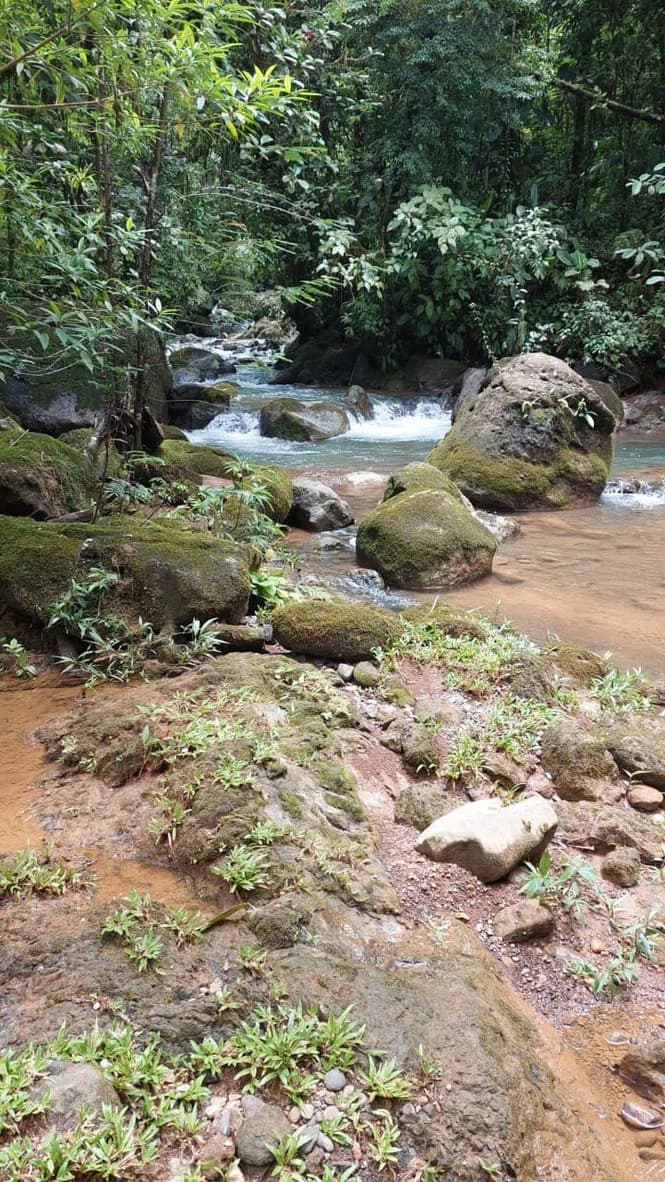 SECLUDED PARADISE WITH STUNNING VIEWS, WATERFALLS & ABUNDANT WILDLIFE - photo 3
