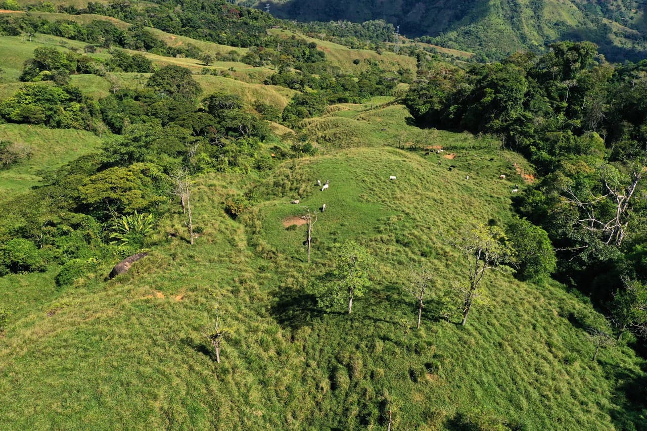 150 Acre Cattle Ranch with Panoramic Views Above the mountains of Uvita - photo 25