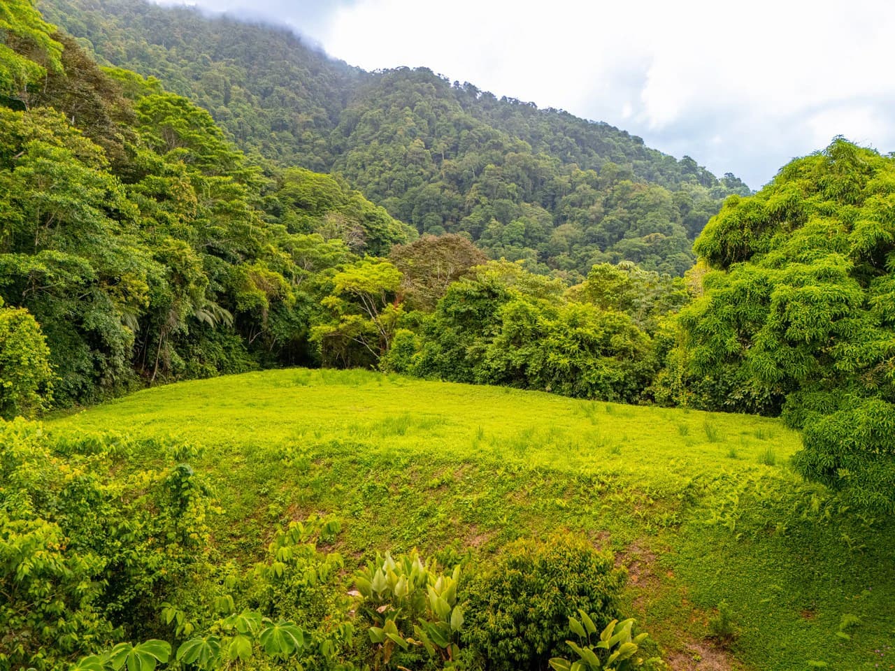 Tropical Paradise in Cascada Sándalo, Tres Ríos Ocean & Mountain Views | Gated Community | Abundant Nature - photo 3