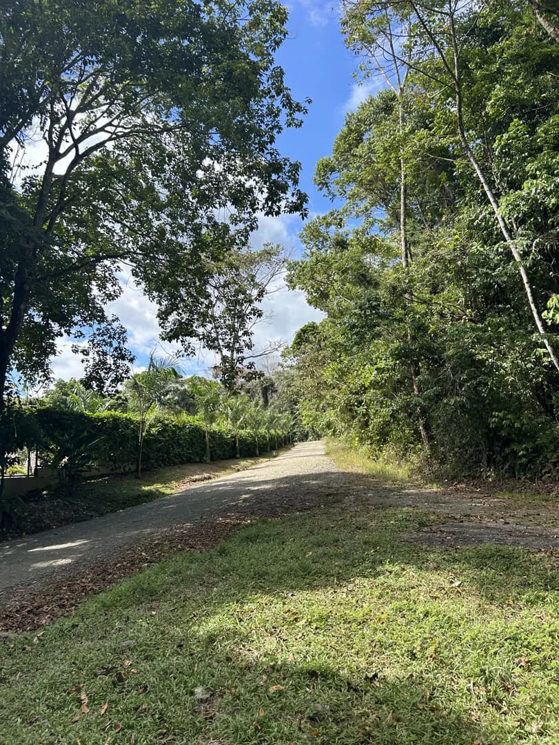 Cabo Matapalo: Jungle View Lot Priced To Sell! - photo 33