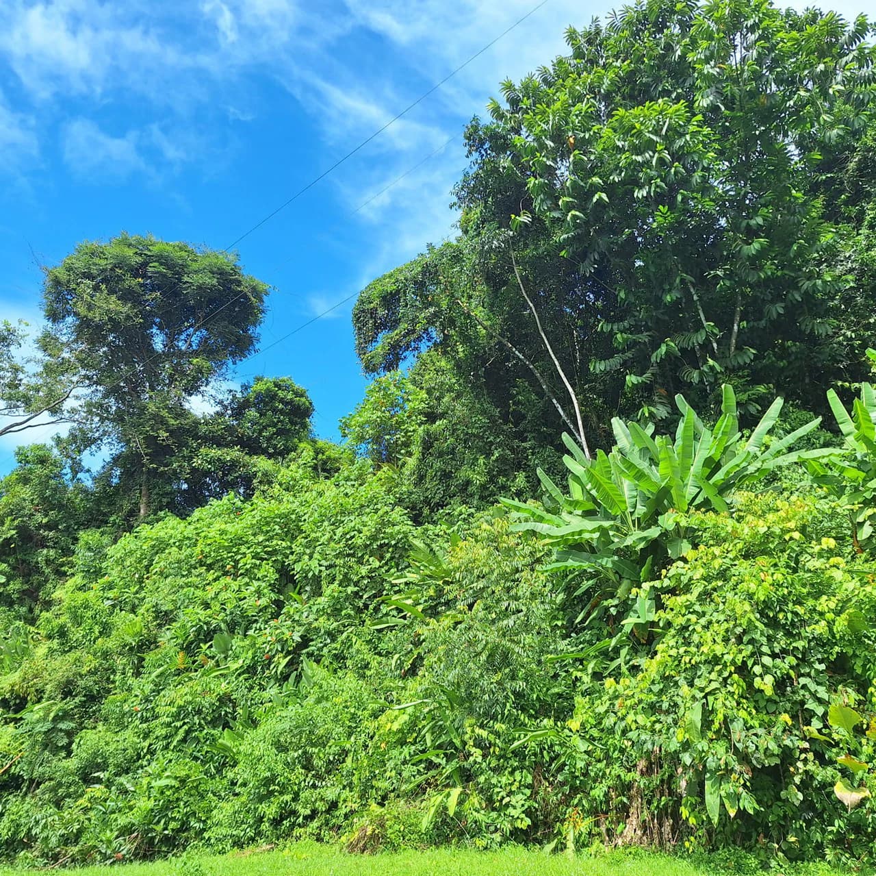 Exceptional Ocean & Mountain View Property in Pinuela Arriba, Costa Rica - photo 18