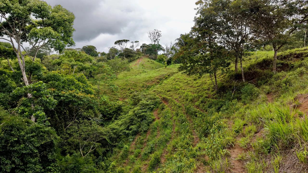Countryside Home Construction Site For Sale in Centro de Pérez Zeledón - photo 15