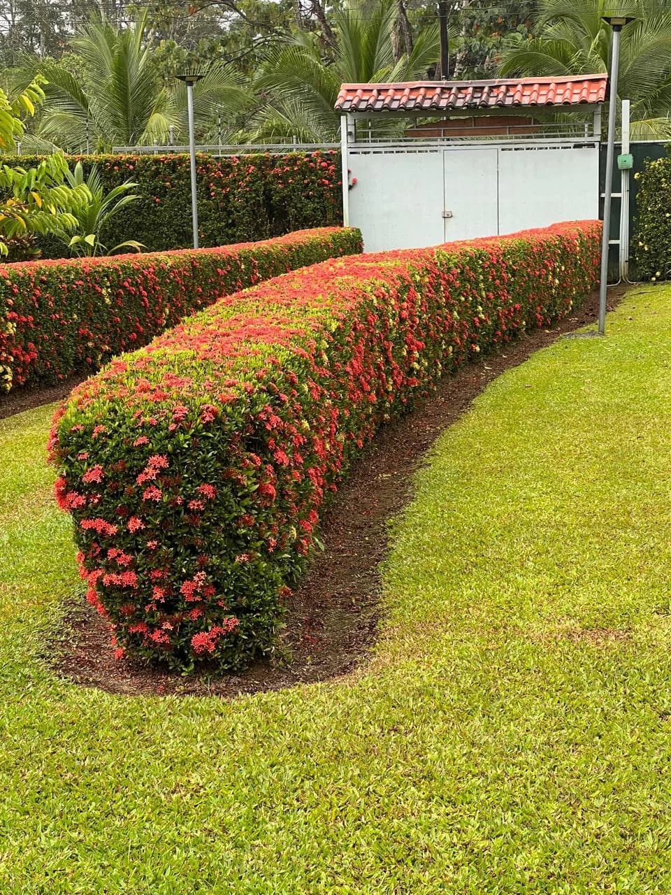 Beautiful 2 bedroom 2 bathroom house - Fully Furnished Turn Key in La Fortuna - photo 4