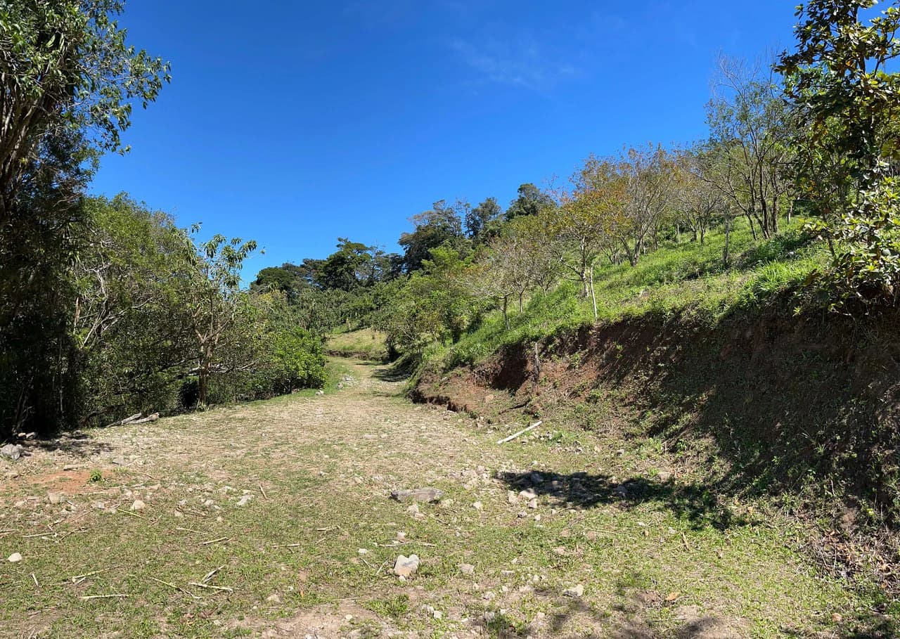 A Lifestyle Canvas with Gulf Views: 5 Hectares Near Monteverde CE0224: Build Your Dream Lifestyle: 5 Hectares with a million dollar Ocean Views & Sunset Magic Near Monteverde - photo 6