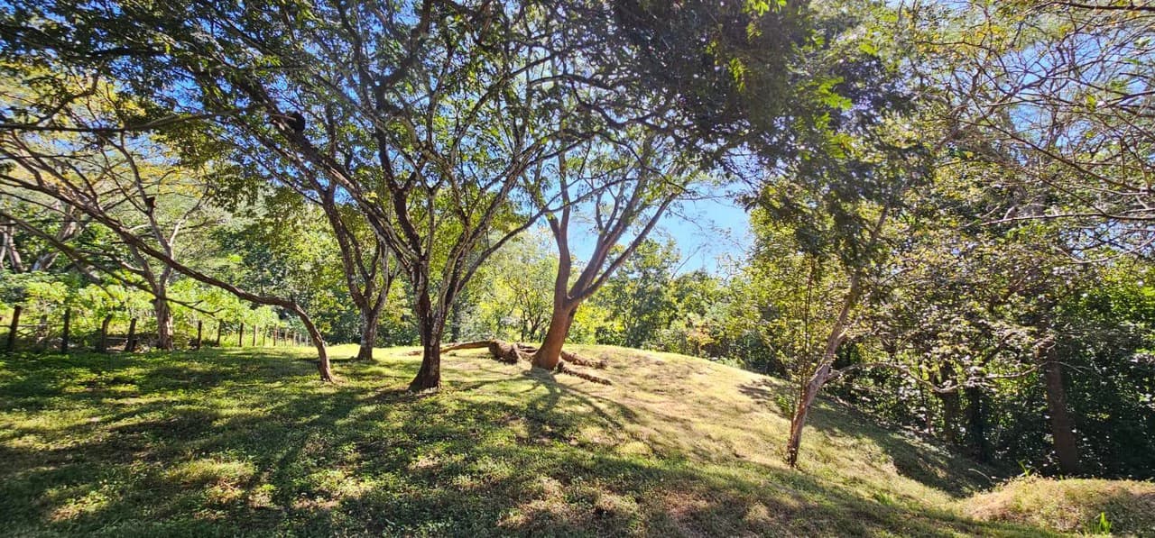 Nature's Gateway: Smart Choice Mixed-Use Property Near Carrillo Beach: Countryside Home Construction Site For Sale in Playa Carrillo - photo 3