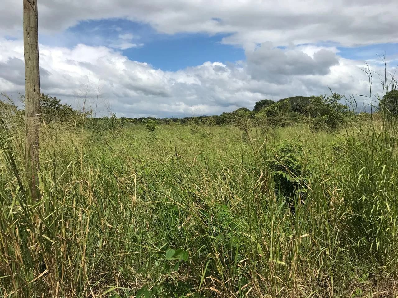 Property near Liberia and Discovery Park - photo 8