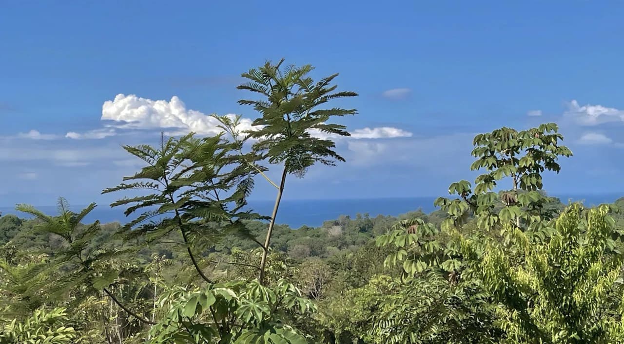 Exclusive Hermosa 1.2 Acre Lot with Panoramic Mountains and Ocean View. - photo 2
