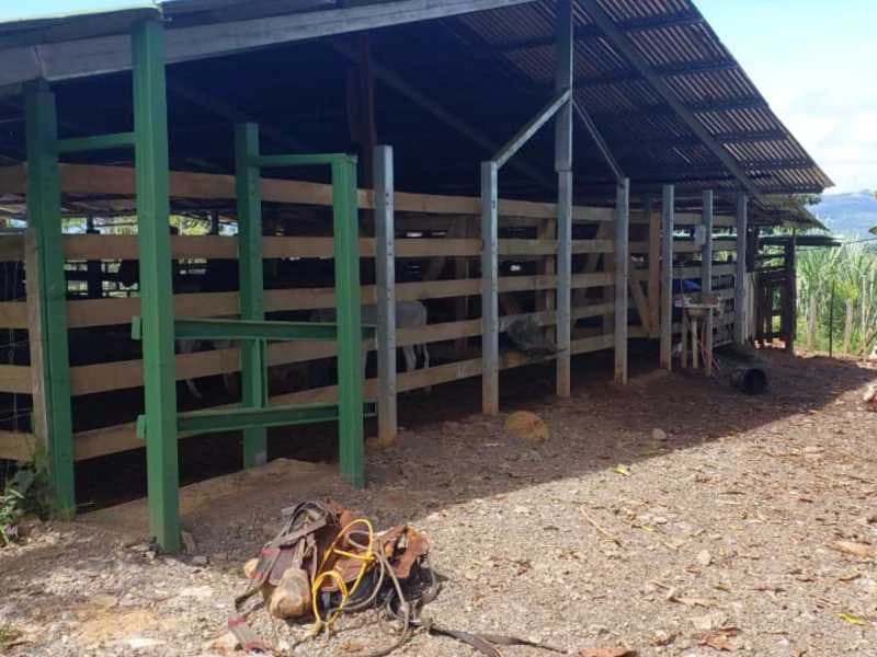 Livestock Farm | Titled property located in Santa Eduviges - photo 25