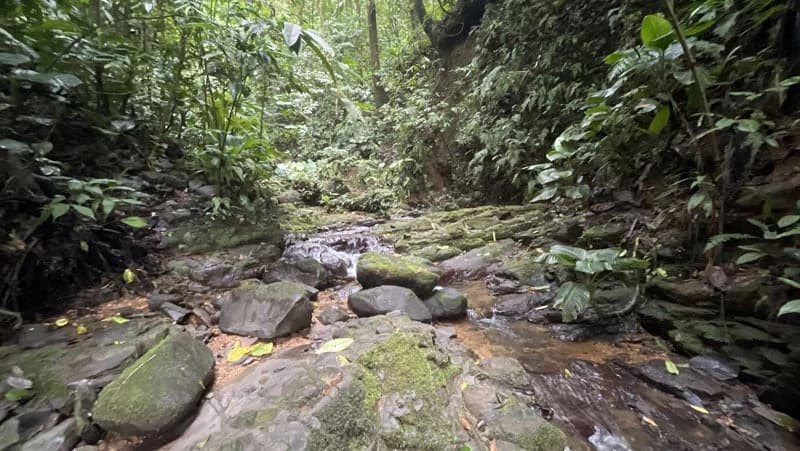 116-Hectare Finca for Sale Near Uvita with Whales Tail Views and 10 Waterfalls | La Faralla, Bahia Ballena, Uvita, Puntarenas, Costa Rica - photo 79