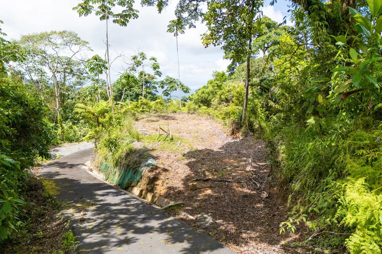 Near the Coast Home Construction Site For Sale in Ciudad Cortés - photo 5