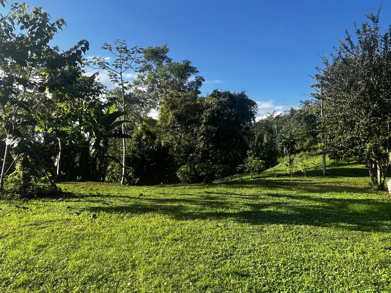 SPECTACULAR ECOLOGICAL MOUNTAIN FARM IN BIJAGUAL DE TURRUBARES - photo 36