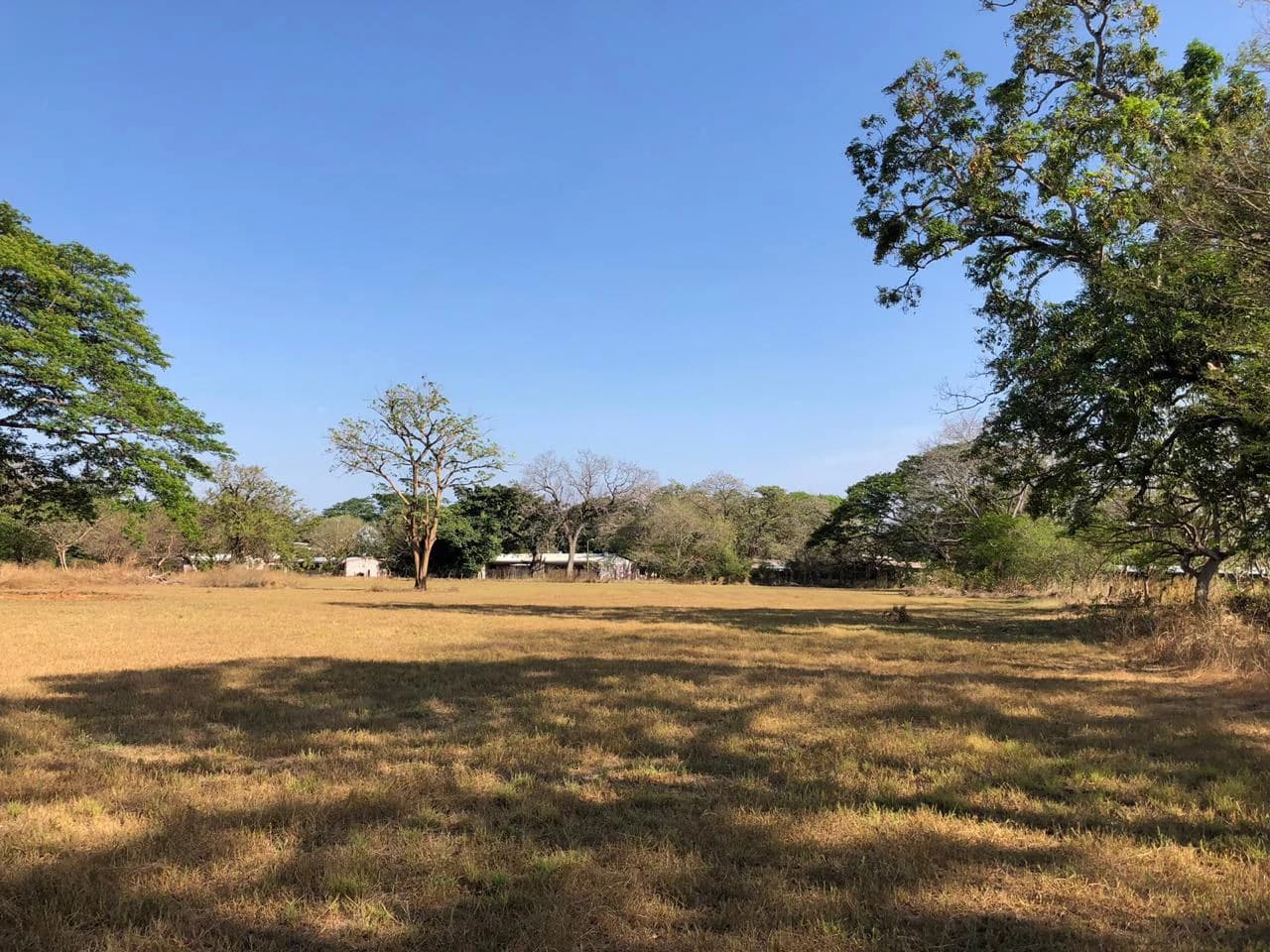 Large property with warehouses in Filadelfia, Carrillo - photo 9