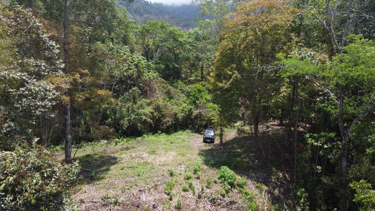Ocean View Estate Lot with Private Waterfall – Uvita - photo 7