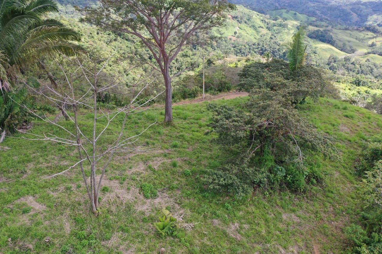 Sunset Ocean View Land with Cano Island Views: Home Construction Site For Sale in Ojochal - photo 7