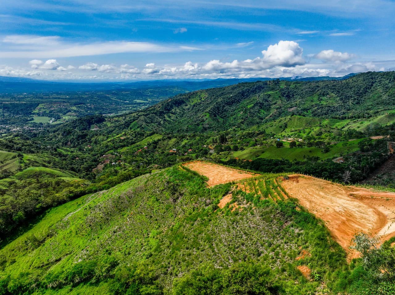 12 Acre Fruit Farm Above San Isidro City Lights Chirripó Views and Deep Well Water - photo 13