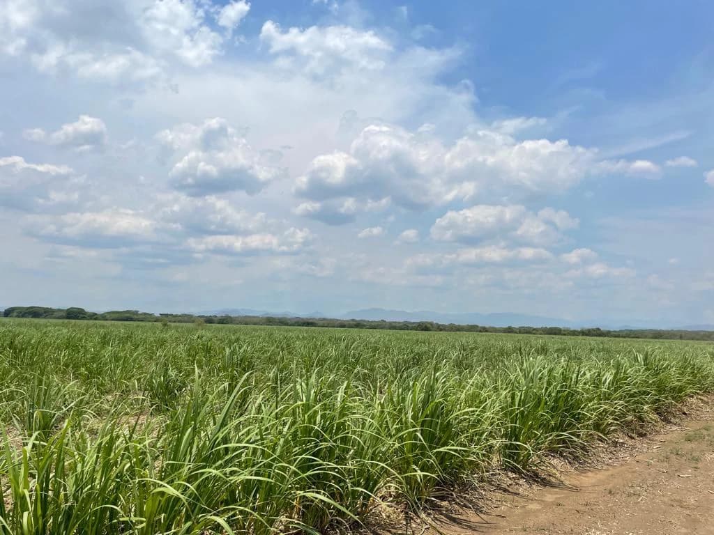 Farm for Sale to Develop Guanacaste Costa Rica - photo 8