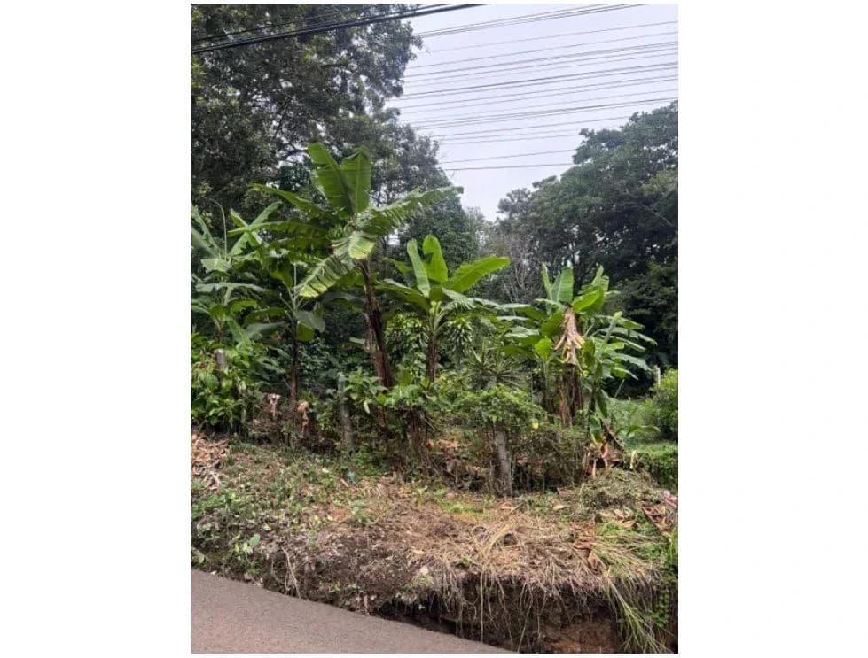 8223 m² Land in Atenas, Alajuela: Private Development in Natural Surroundings - photo 8