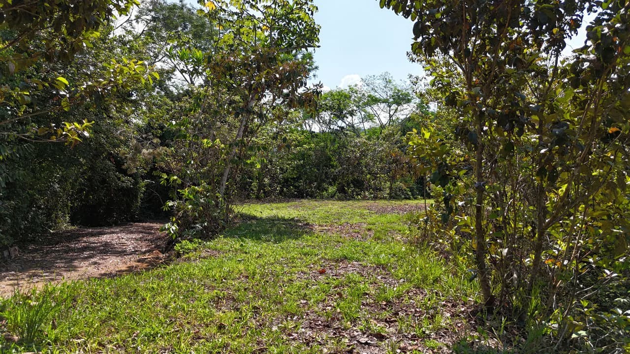 Exceptional Development Opportunity 71 acre Riverfront & Ocean View in Hatillo - photo 8