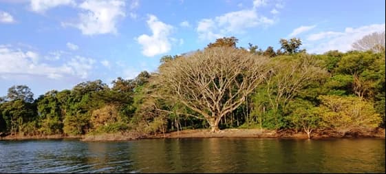 10.350 m2 Lakefront Property on Lake Arenal: Lakefront - 200 m2 bungalow with 10,350 m2 private land (building land) on Lake Arenal