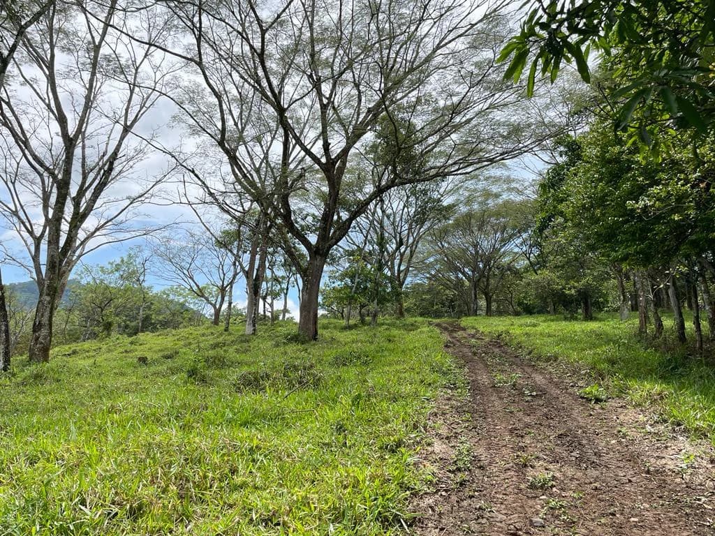 Farm for sale Puriscal Close to Universidad para la Paz Costa Rica - photo 2