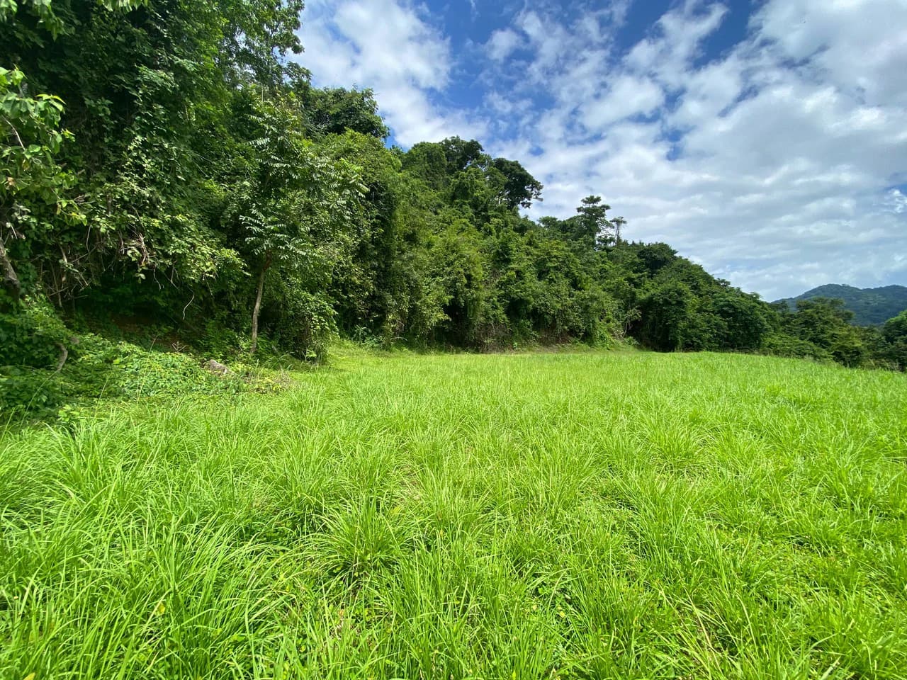 Ocean View Lot for Sale Guanacaste Costa Rica San Miguel Beach Tittled - photo 16
