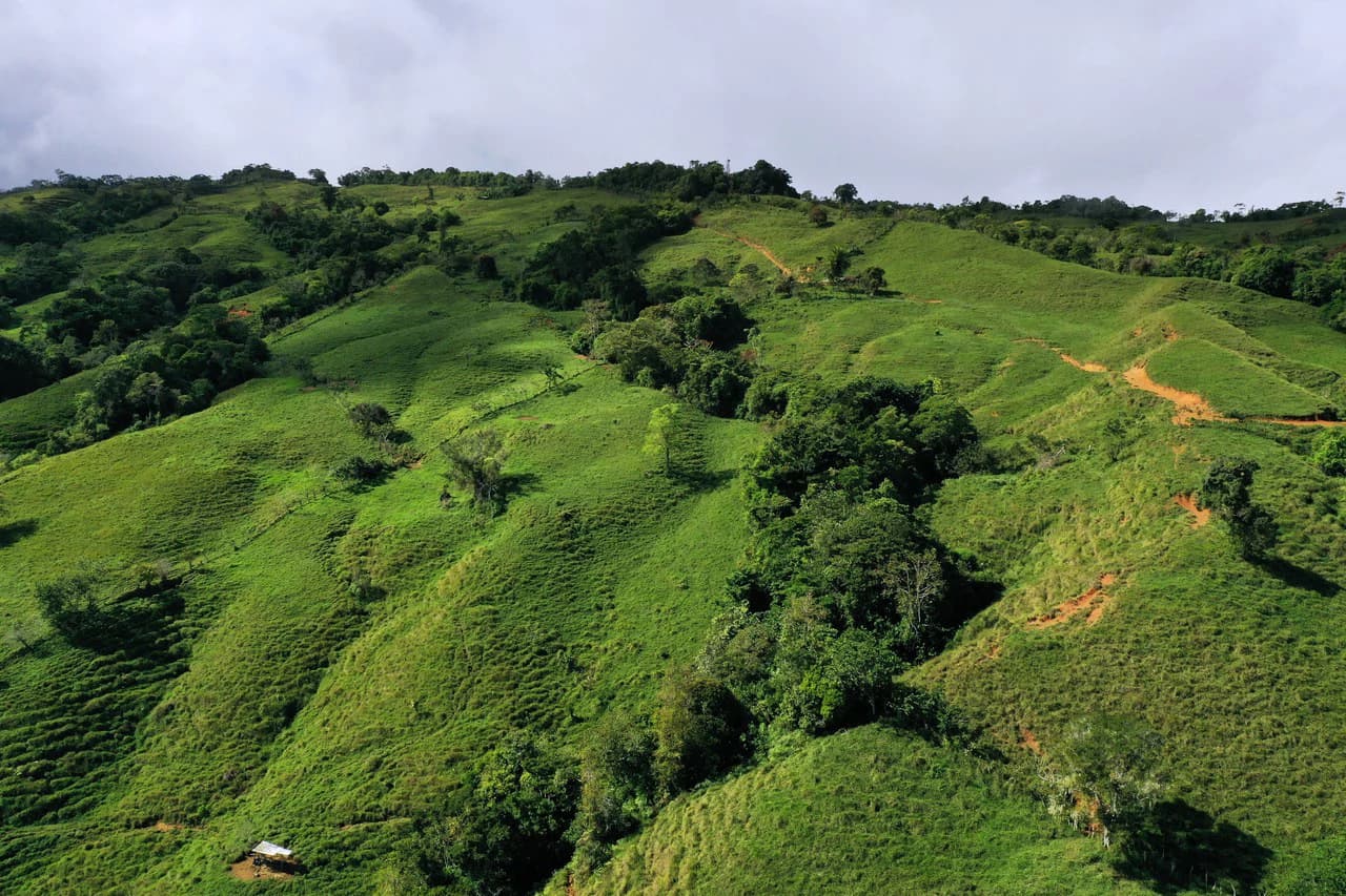 150 Acre Cattle Ranch with Panoramic Views Above the mountains of Uvita - photo 17