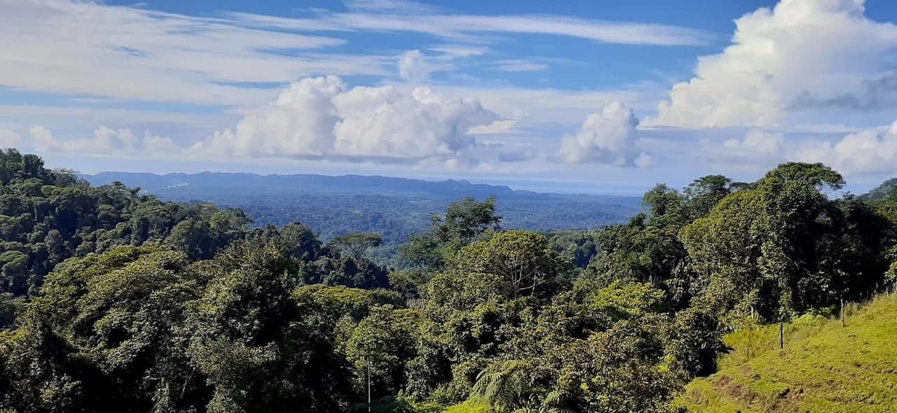 SECLUDED PARADISE WITH STUNNING VIEWS, WATERFALLS & ABUNDANT WILDLIFE - photo 9