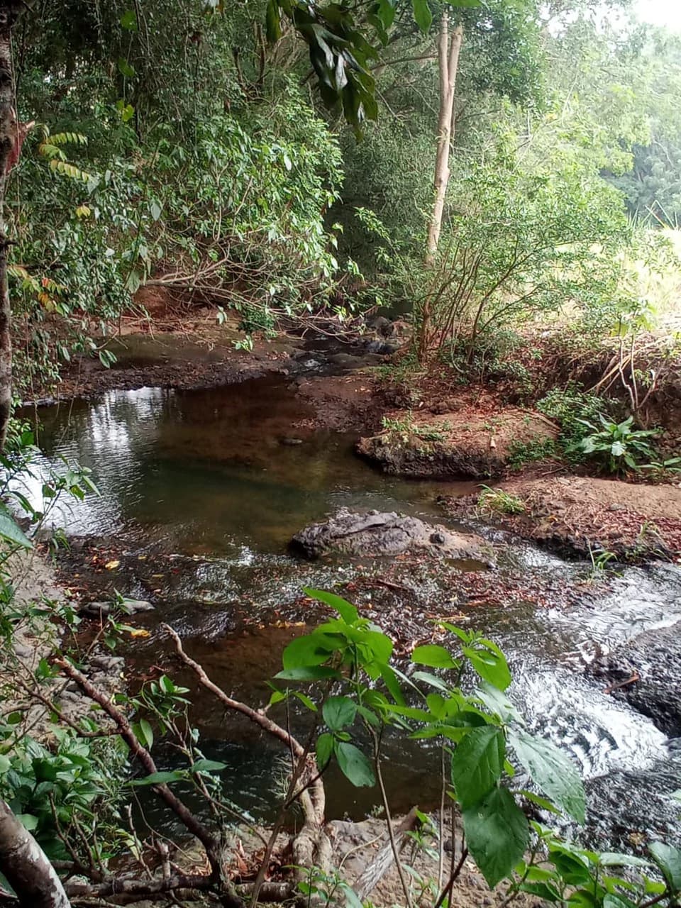 THE JEWEL OF GRECIA: $20m2 - 10 Hectares of Unlimited Potential! - photo 4