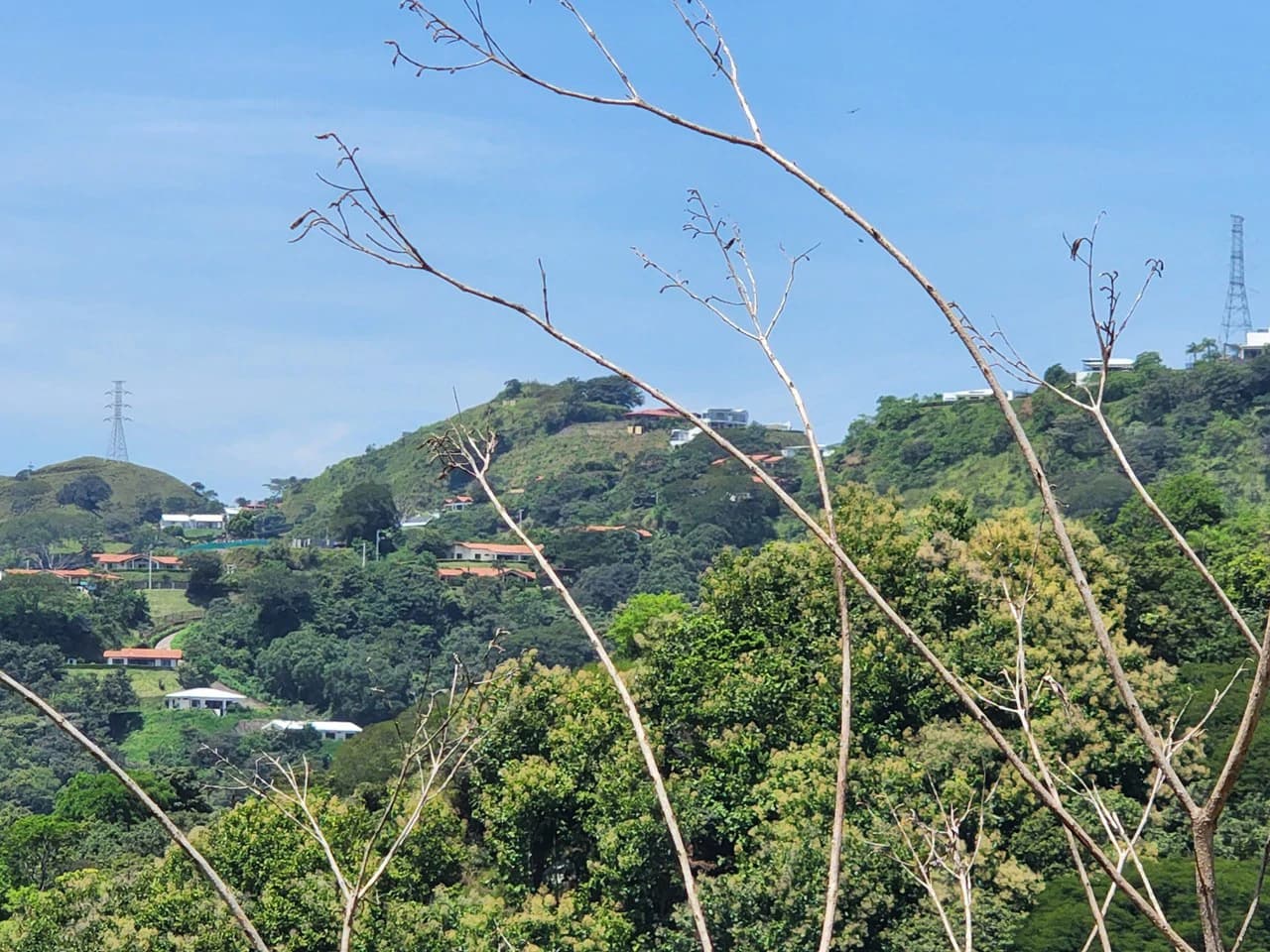 Countryside Home Construction Site For Sale in Atenas - photo 13