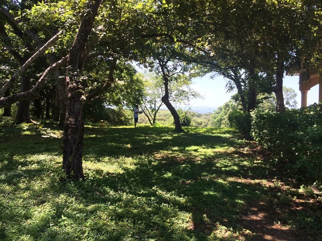 Great Ocean, valley and garden view Lots for sale in a Private Gated Community in Peninsula Papagayo - photo 5