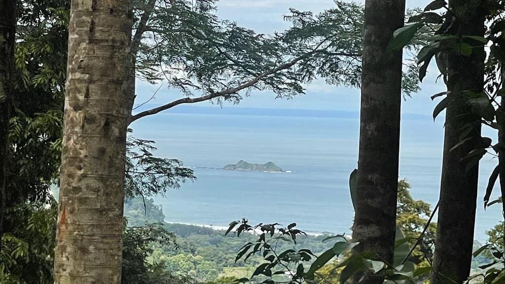Eduardo Lee 17 Acres: Mountain Agricultural Land For Sale in Bejuco - photo 7