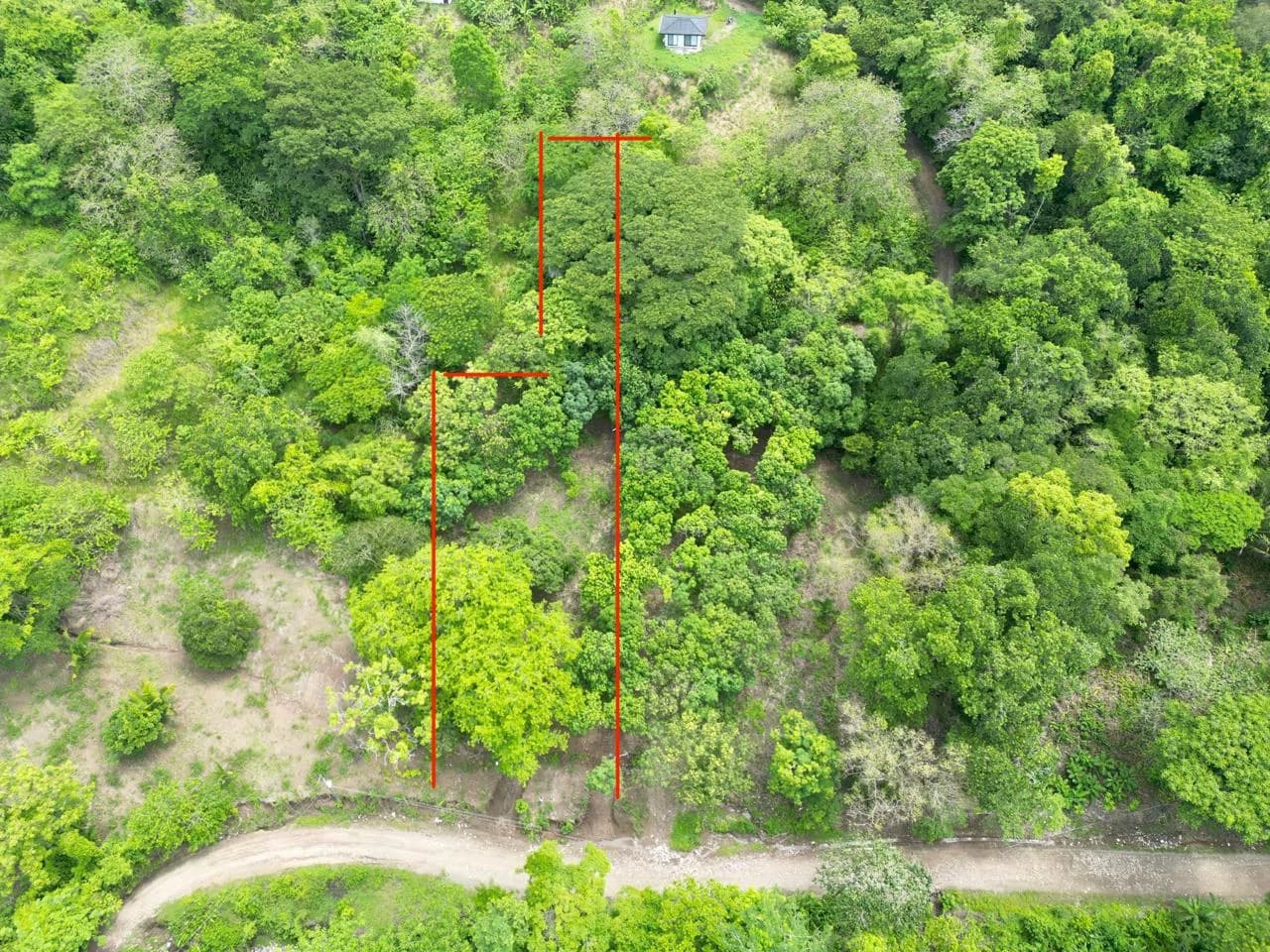Enchanting 9,800 m² Land Surrounded by Jungle and Nature: A Peaceful Retreat Near Santa Teresa, Mal País, and Cabuya - photo 7